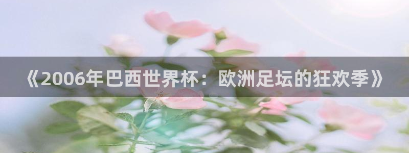 世界杯足球2026：《2006年巴西世界杯：欧洲足坛的狂欢季》