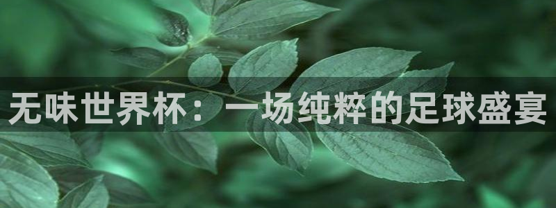 2026世界杯直播：无味世界杯：一场纯粹的足球盛宴