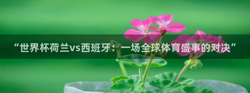 2026男足世界杯：“世界杯荷兰vs西班牙：一场全球体育盛事的对决”