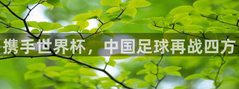 世界杯直播在线观看入口：携手世界杯，中国足球再战四方