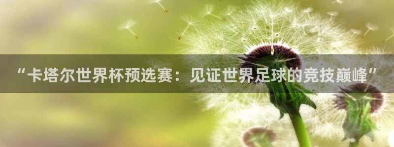 世界杯球赛：“卡塔尔世界杯预选赛：见证世界足球的竞技巅峰”