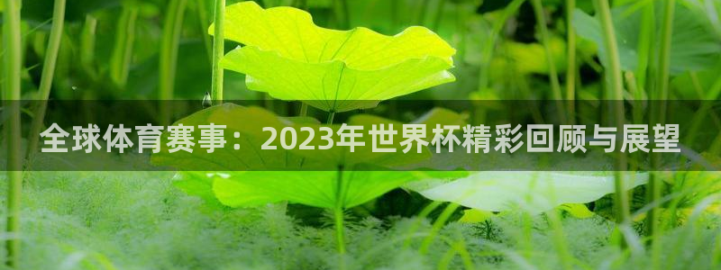 世界杯预选赛：全球体育赛事：2023年世界杯精彩回顾与展望