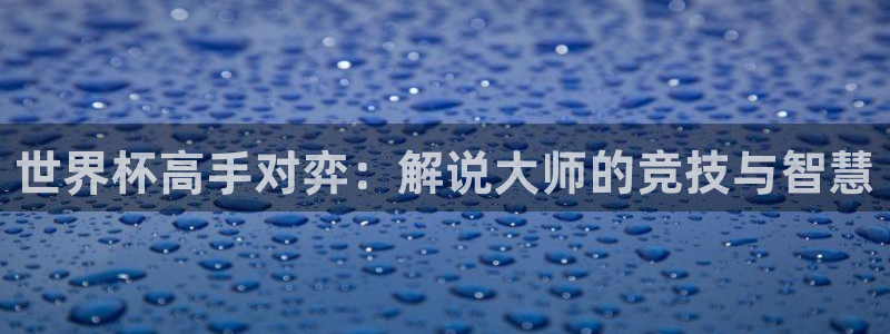 2026世界杯亚洲区预选赛赛程：世界杯高手对弈：解说大师的竞技与智慧