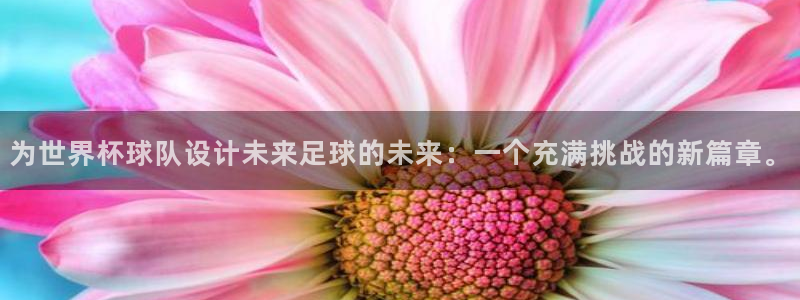 世界杯足球赛：为世界杯球队设计未来足球的未来：一个充满挑战的新篇章。