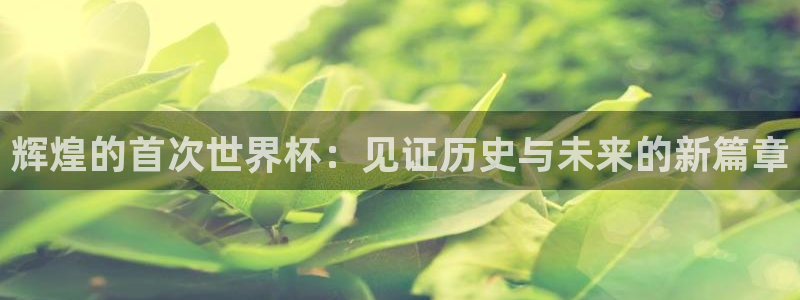 世界杯预选赛欧洲赛区积分榜：辉煌的首次世界杯：见证历史与未来的新篇章