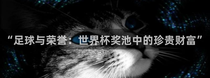 世界杯亚洲区预选赛积分榜：“足球与荣誉：世界杯奖池中的珍贵财富”