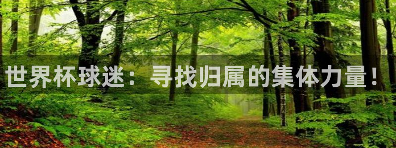 欧洲世预赛赛程表:世界杯球迷:寻找归属的集体力量!