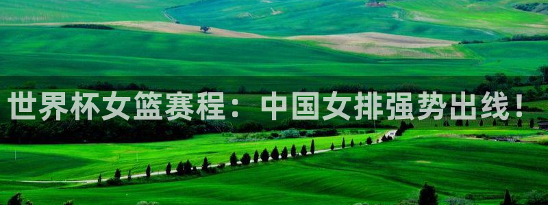 世界杯在线直播入口:世界杯女篮赛程:中国女排强势出线!